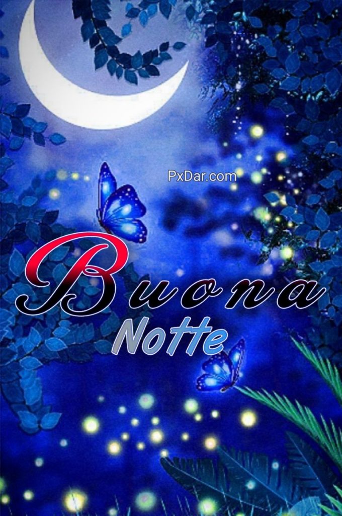 100 Immagini Buonanotte 2024