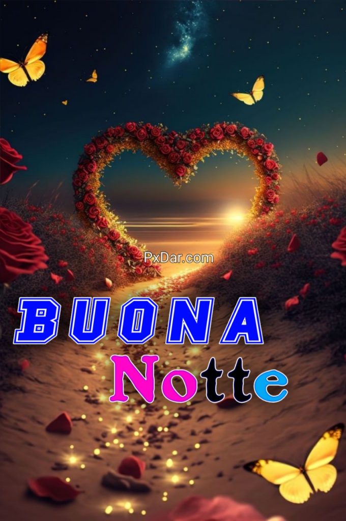 100 Immagini Buonanotte Maria Pia