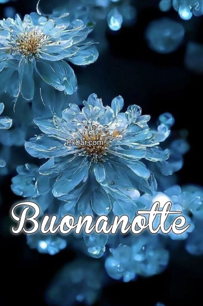 100 Immagini Buonanotte Natalizie