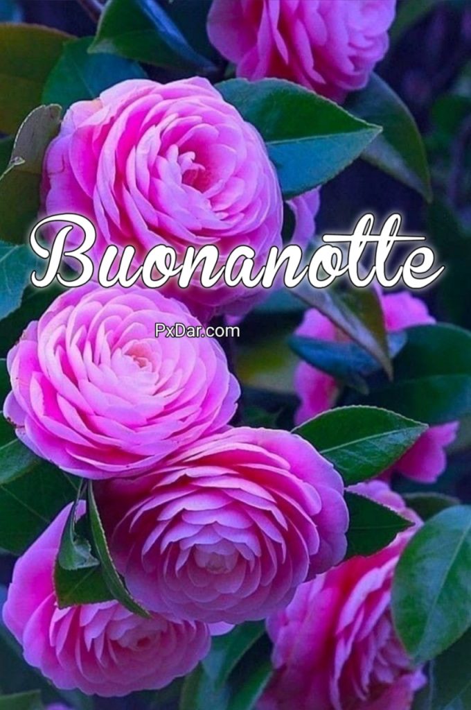 100 Immagini Buonanotte Nuove