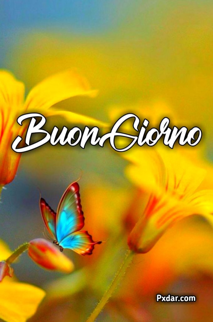 100 Immagini Buongiorno Gif Nuove Gratis Per Whatsapp