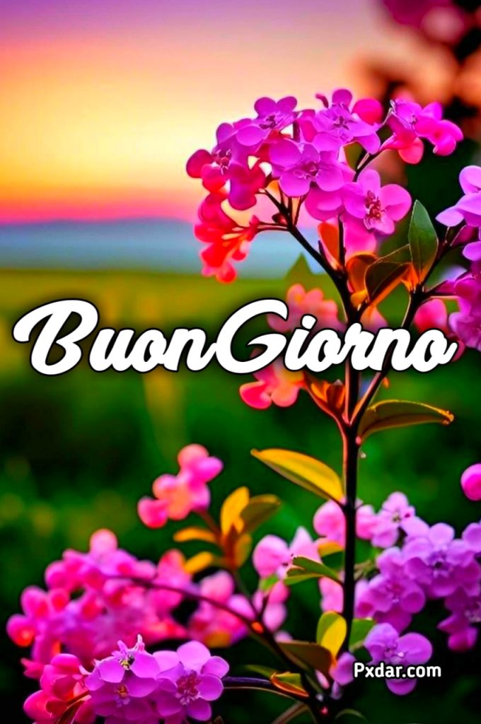 100 Immagini Buongiorno Gratis Per Whatsapp