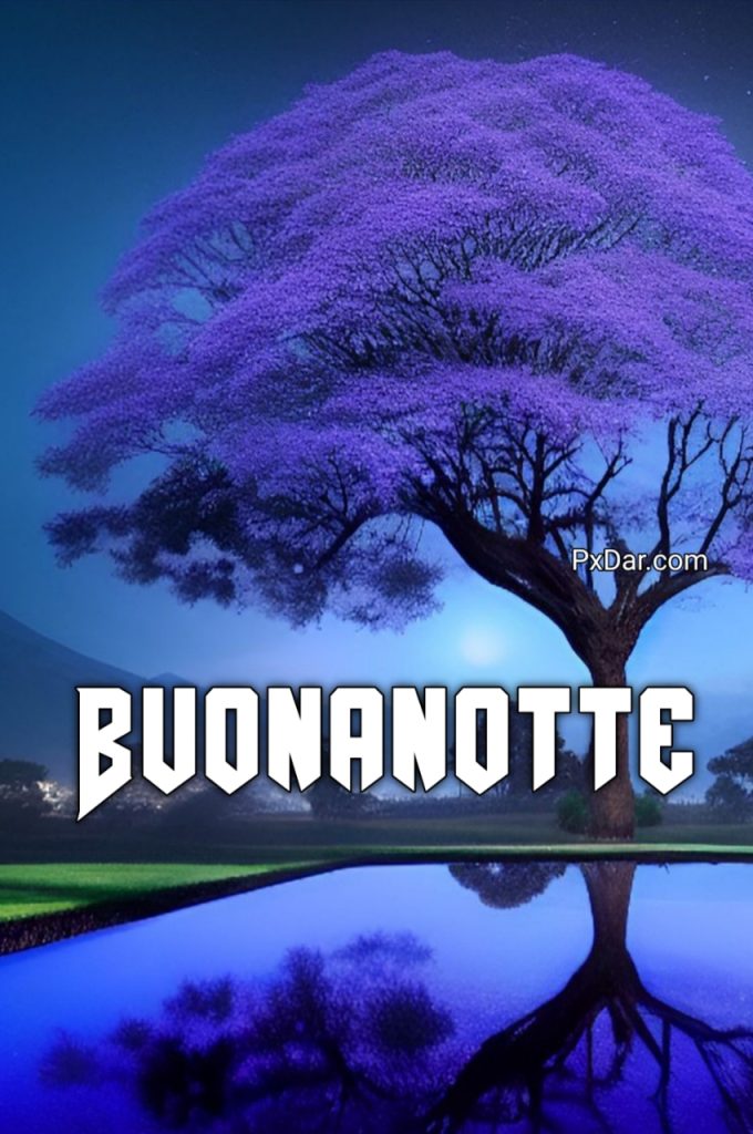 A Domani Nuovissimo Buona Notte Divertenti