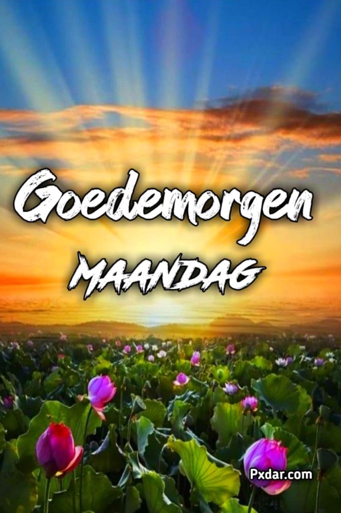 Afbeelding Maandag Goedemorgen Gif