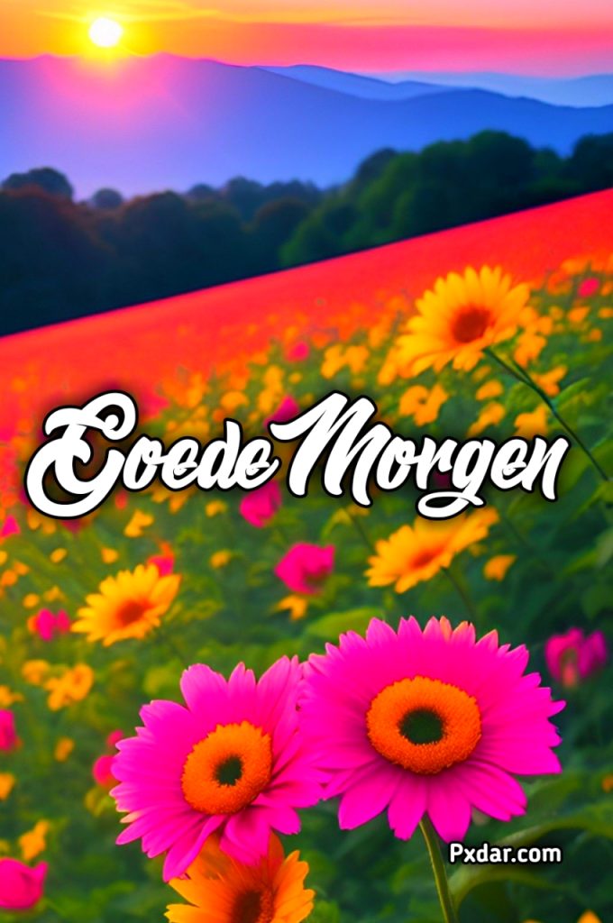 Afbeeldingen Goedemorgen Donderdag