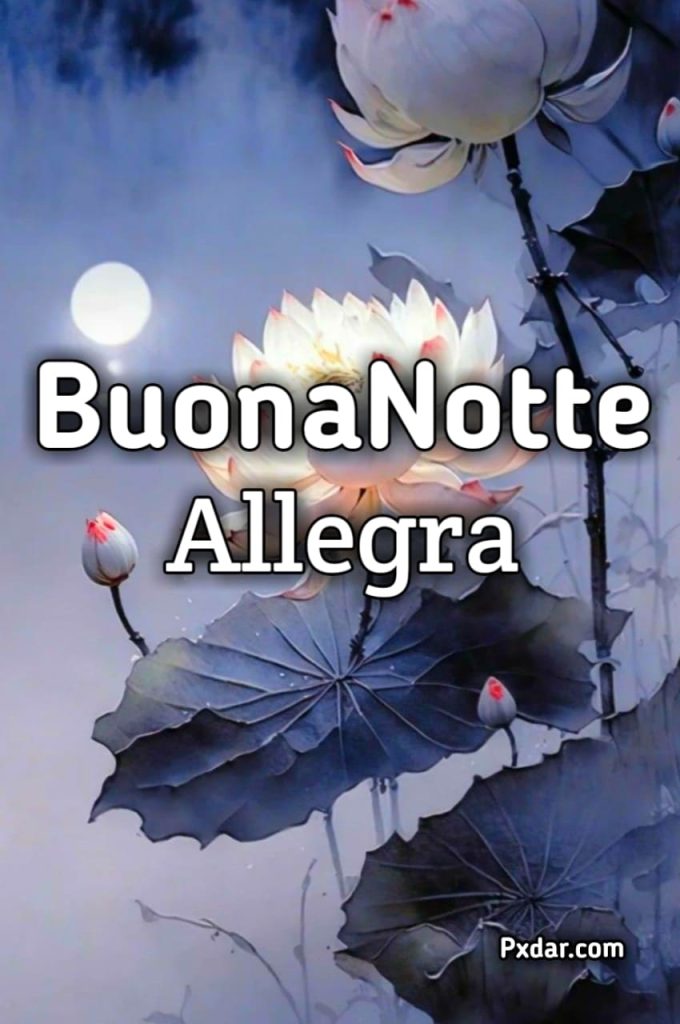 Allegra Buonanotte