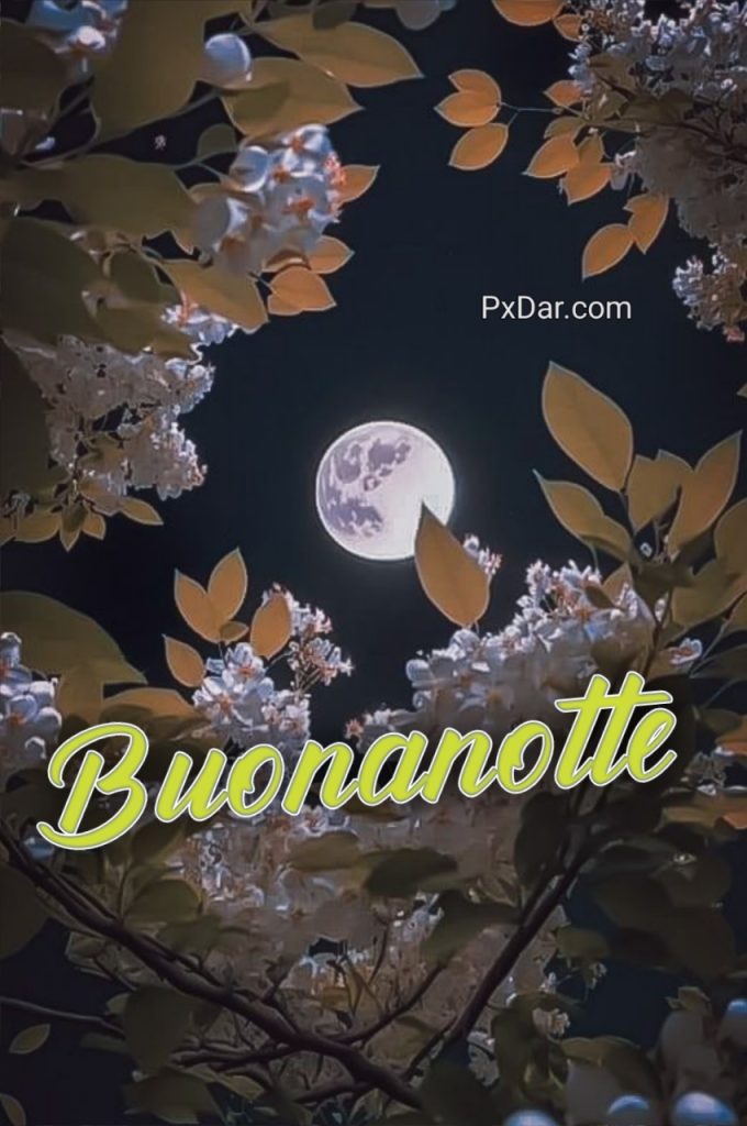 Amicizia Buonanotte Amica Speciale