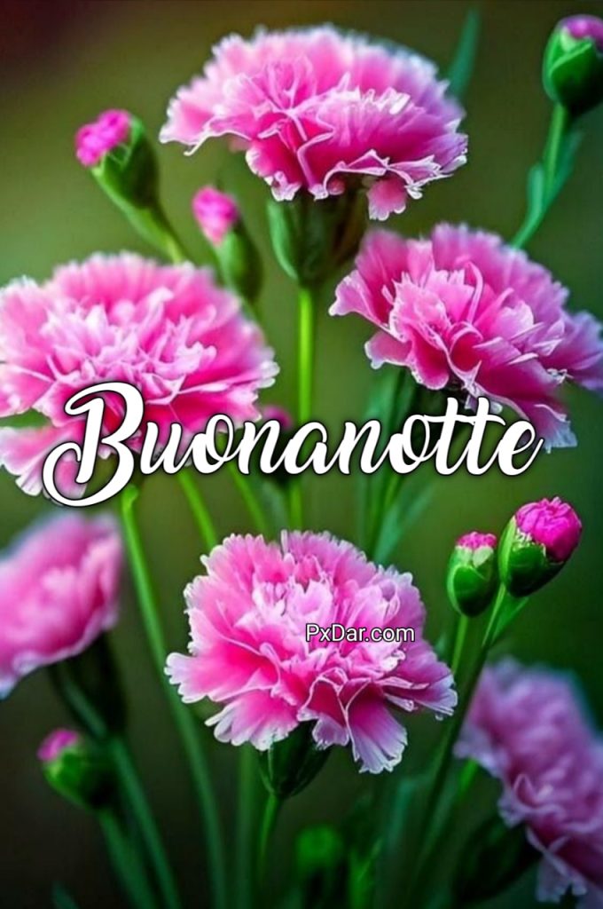 Bellissime Buonanotte A Domani