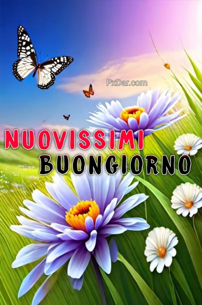 Bellissime Buongiorno Immagini Nuove