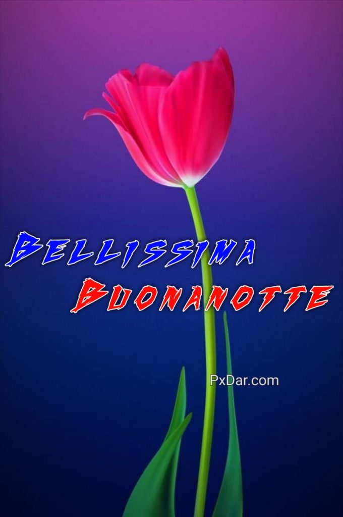 Bellissime Immagini Buonanotte Belle