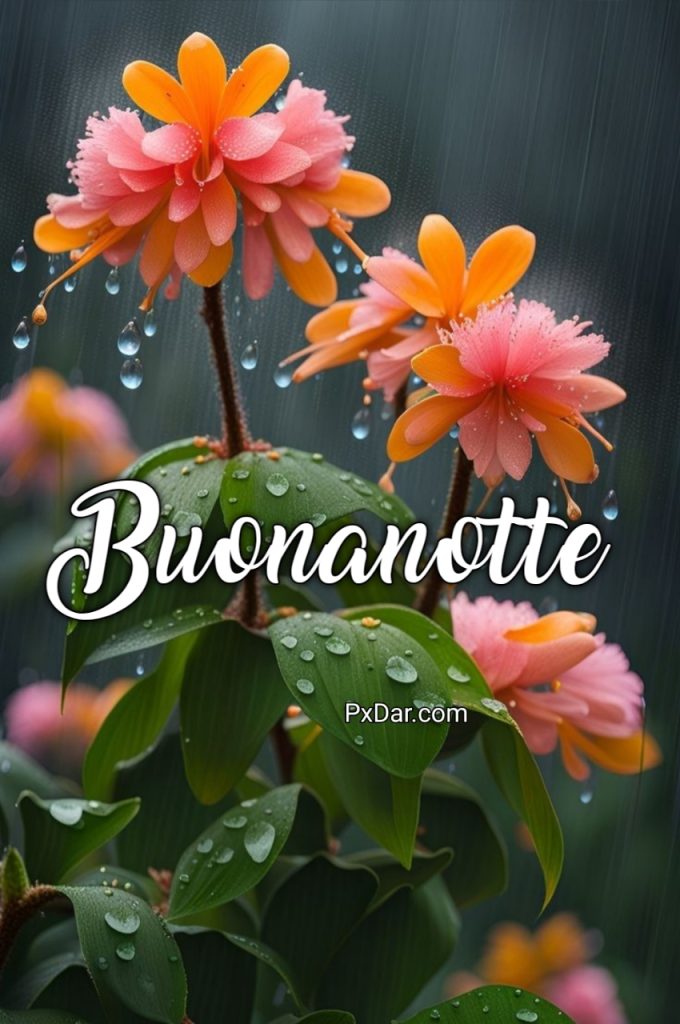 Bellissime Immagini Buonanotte Con Il Cuore