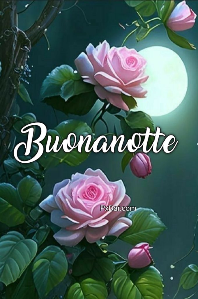 Bellissime Nuovissime Buonanotte Pinterest Nuovissimi