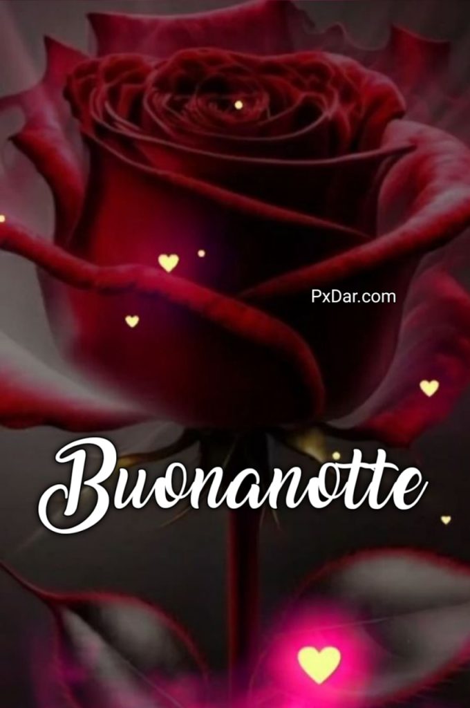 Bellissime Sticker Buonanotte