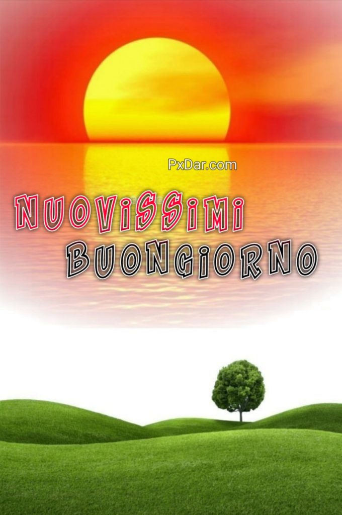 Bellissimeimmagini Buongiorno Immagini Nuove Divertenti