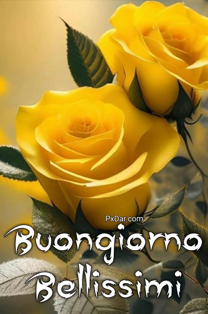 Bellissimo Buongiorno