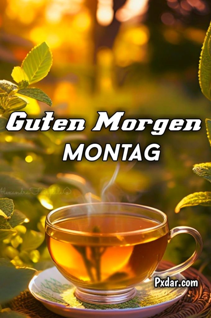 Bilder Guten Morgen Montag