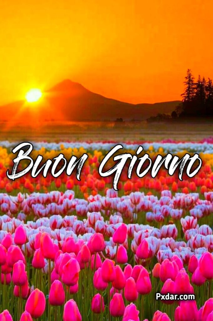 Buon Giovedì Autunnale