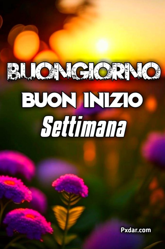 Buon Inizio Di Settimana Immagini Nuove Gratis