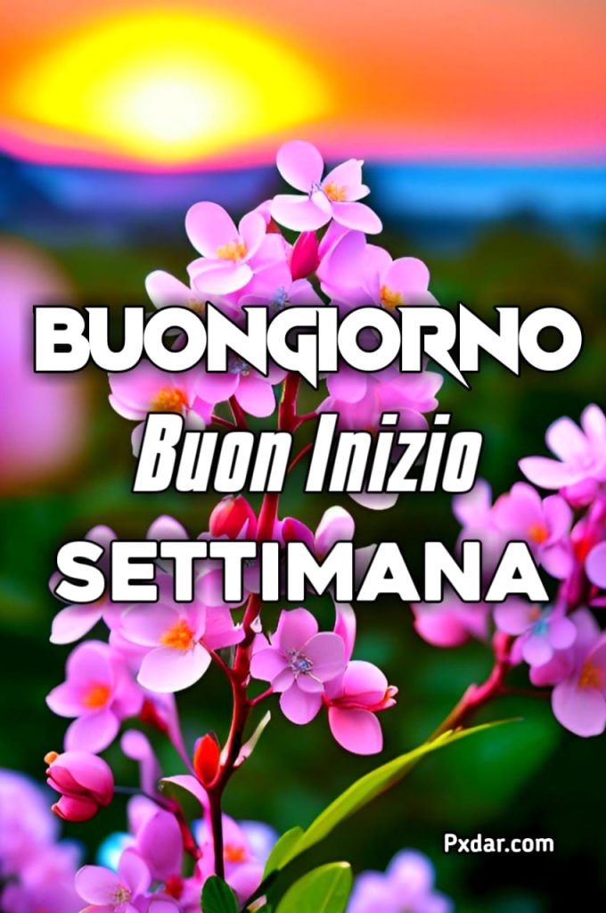 Buon Inizio Di Settimana Immagini Nuove Gratis Per Whatsapp