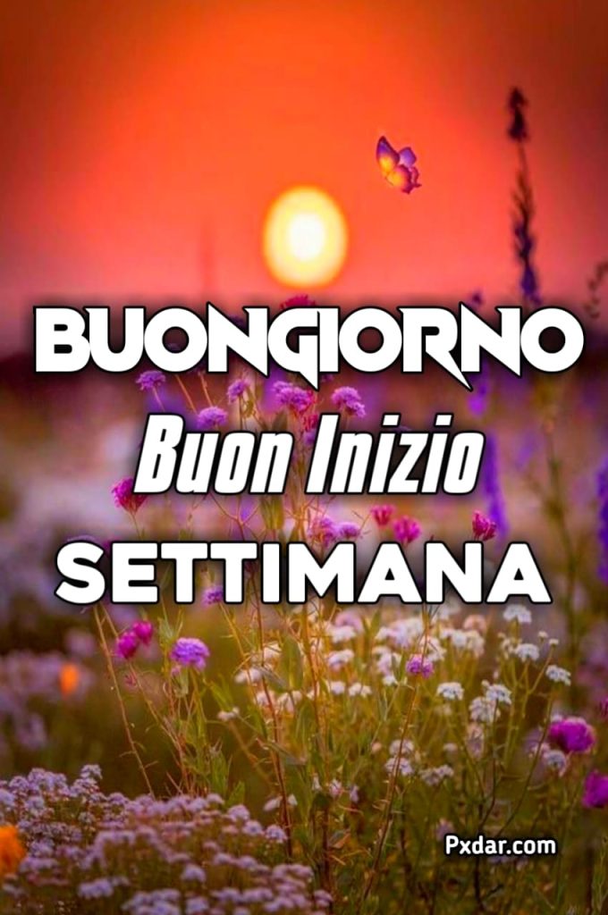 Buon Inizio Settimana Immagini