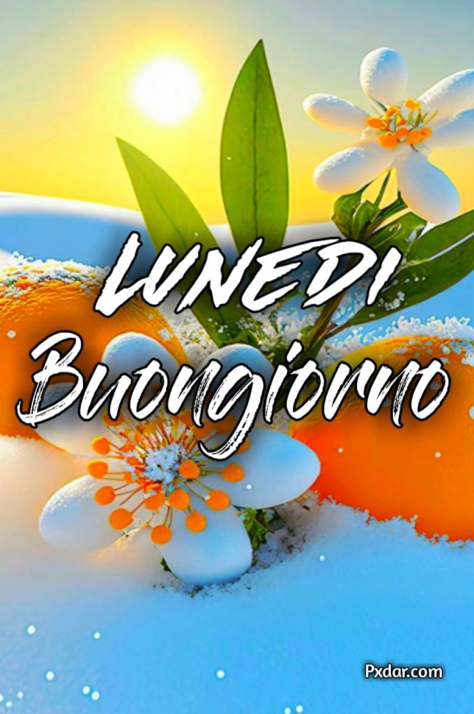 Buon Lunedì E Buon Inizio Settimana