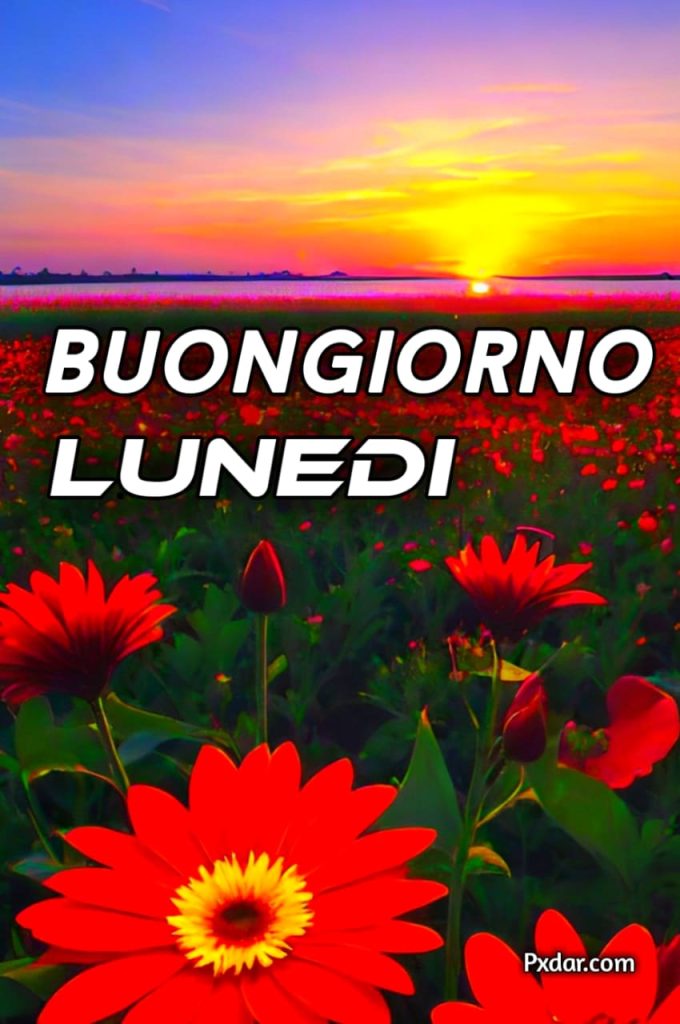 Buon Lunedì Immagini Nuove 2024