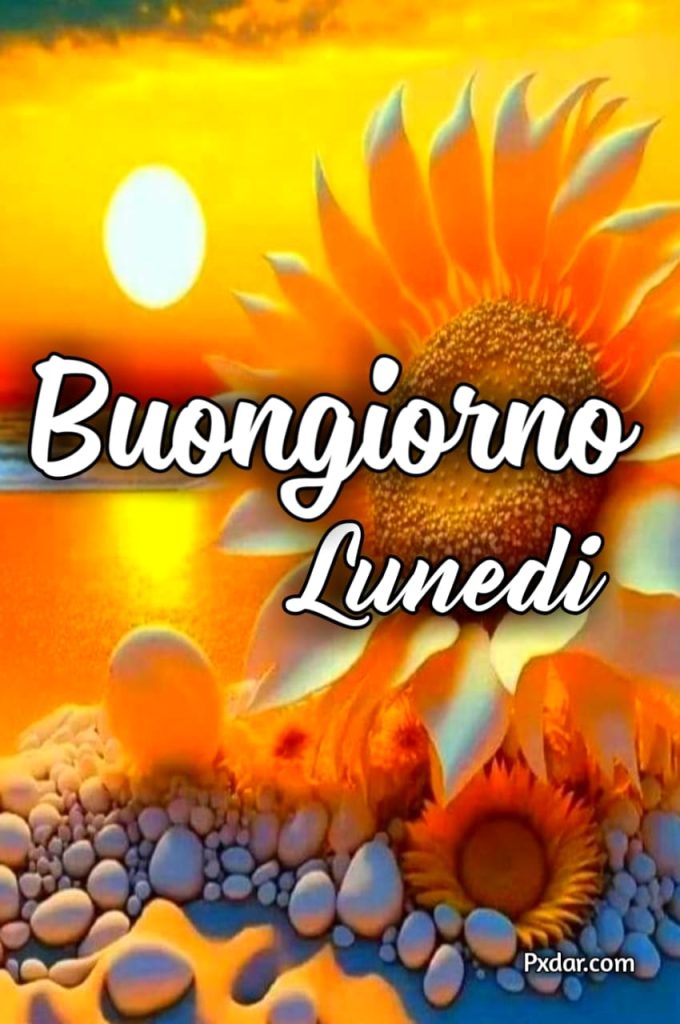 Buon Lunedì Immagini Nuove