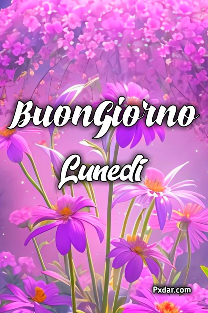 Buon Lunedì Simpatico