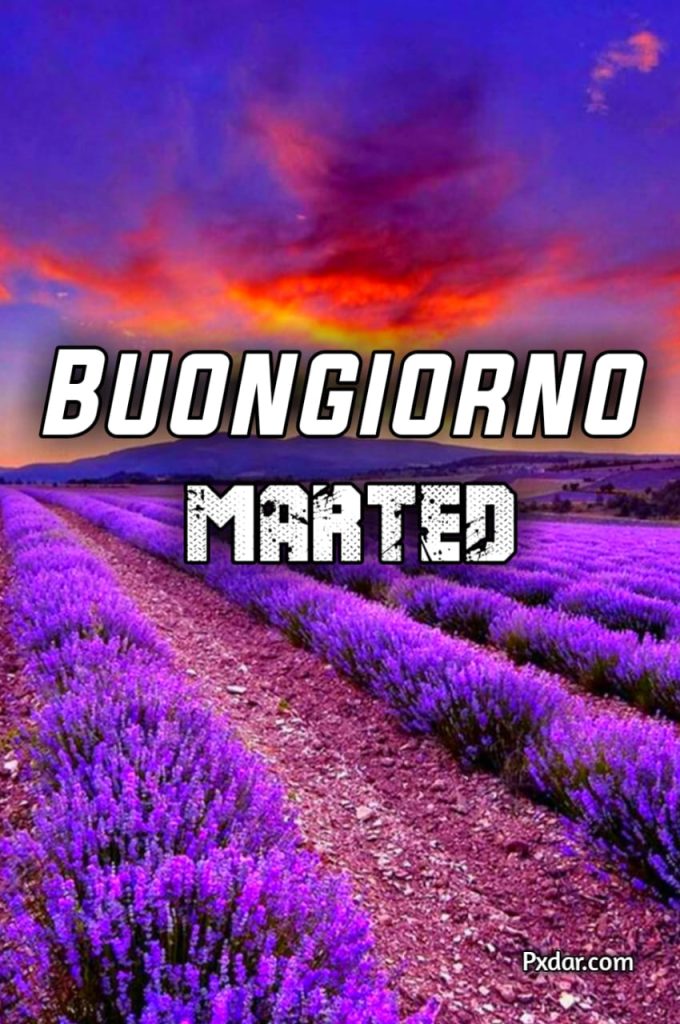 Buon Martedì