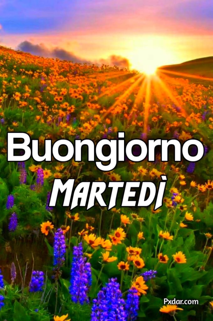 Buon Martedi Buongiorno