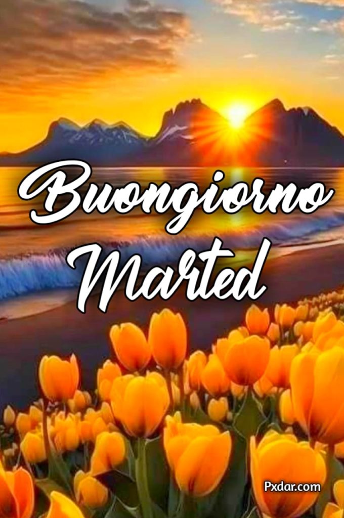 Buon Martedì Invernale