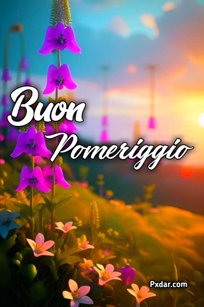 Buon Pomeriggio 2024