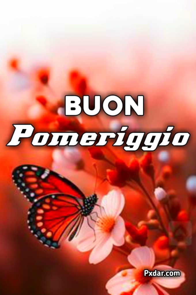 Buon Pomeriggio Immagini Bellissime Gratis Per Whatsapp