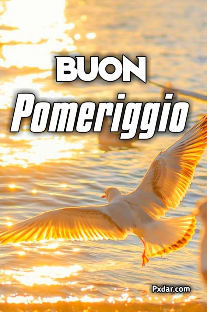 Buon Pomeriggio Whatsapp