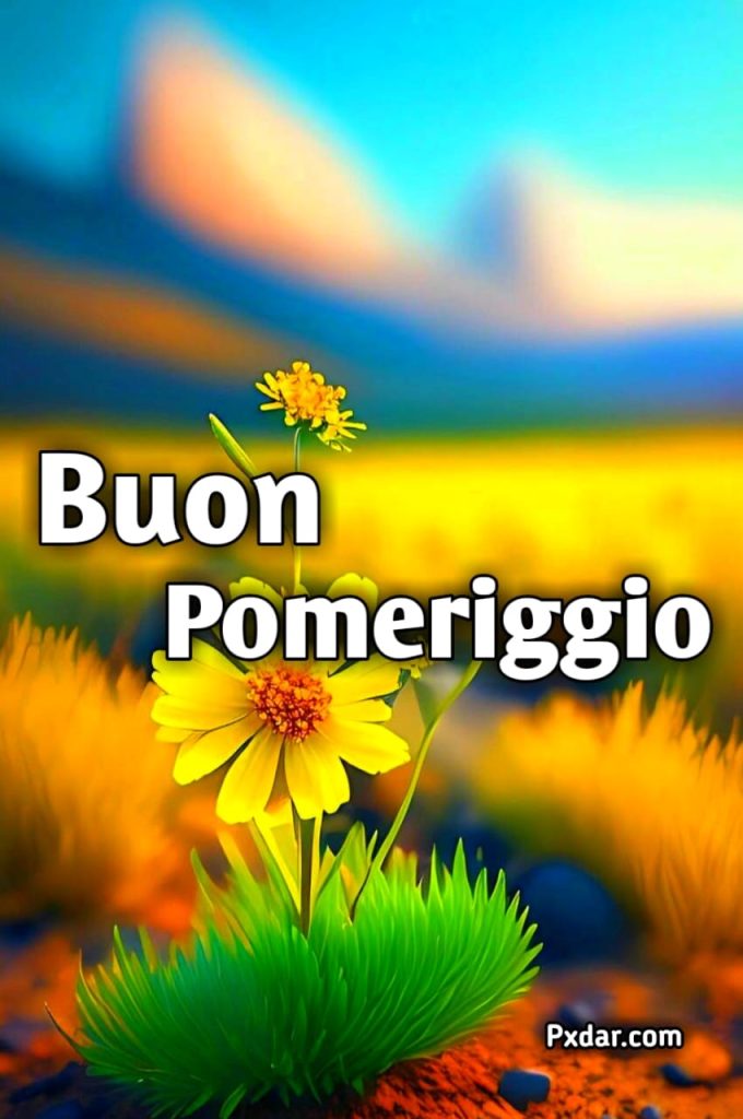 Buon Pranzo E Buon Pomeriggio