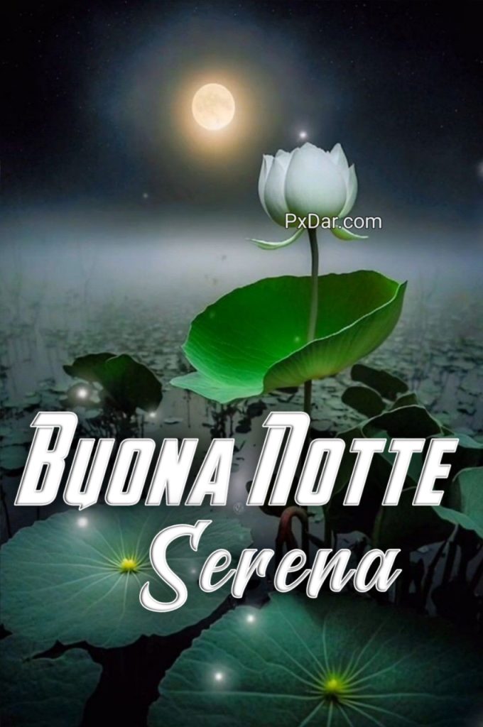 Buon Riposo Serena Notte