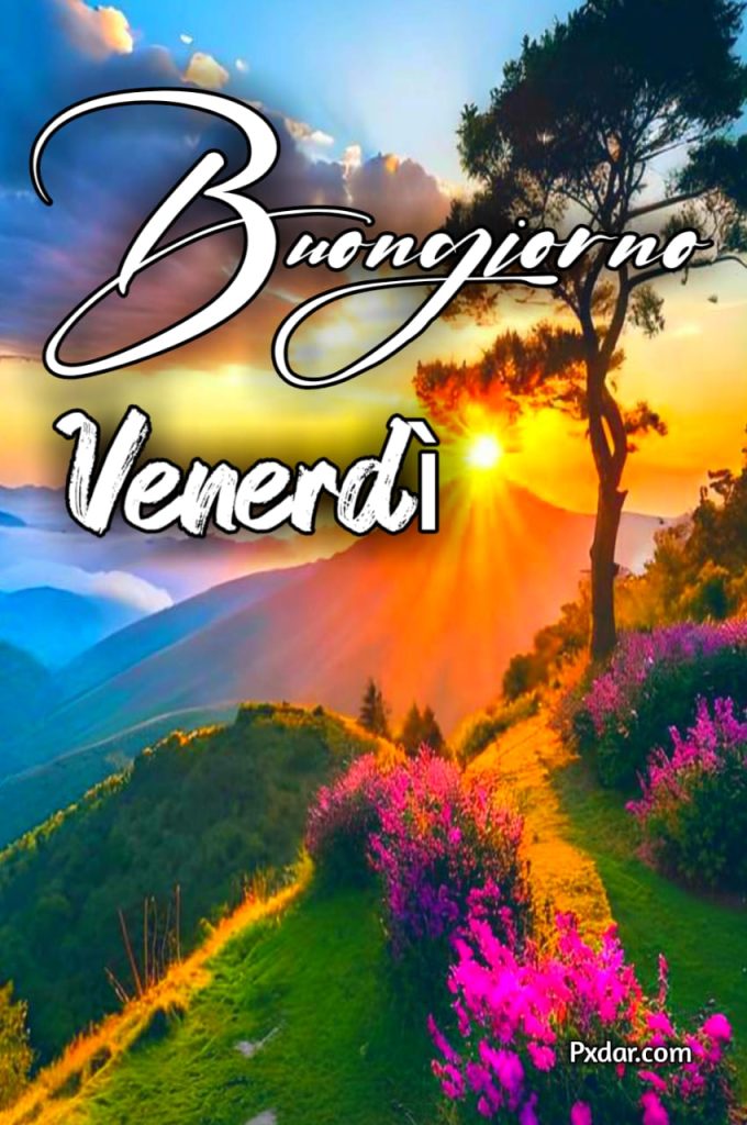 Buon Venerdì 24 Novembre