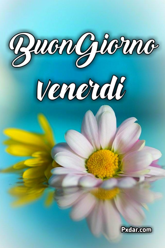 Buon Venerdi Autunnale