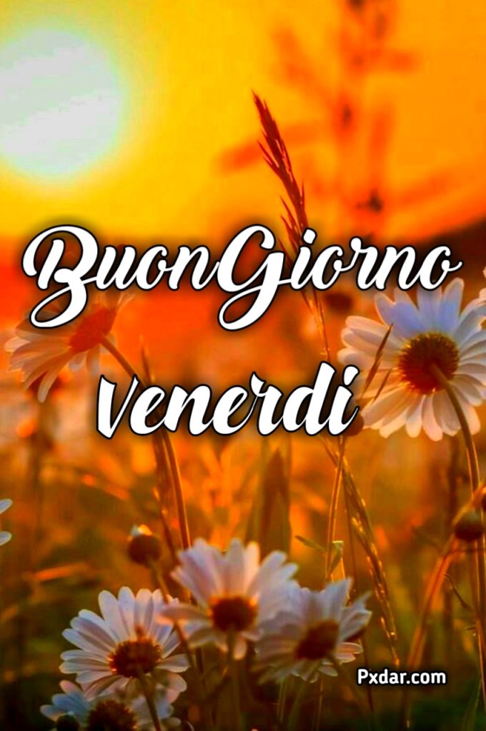 Buon Venerdì Autunnale