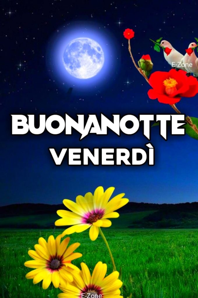 Buon Venerdì Sera E Buonanotte