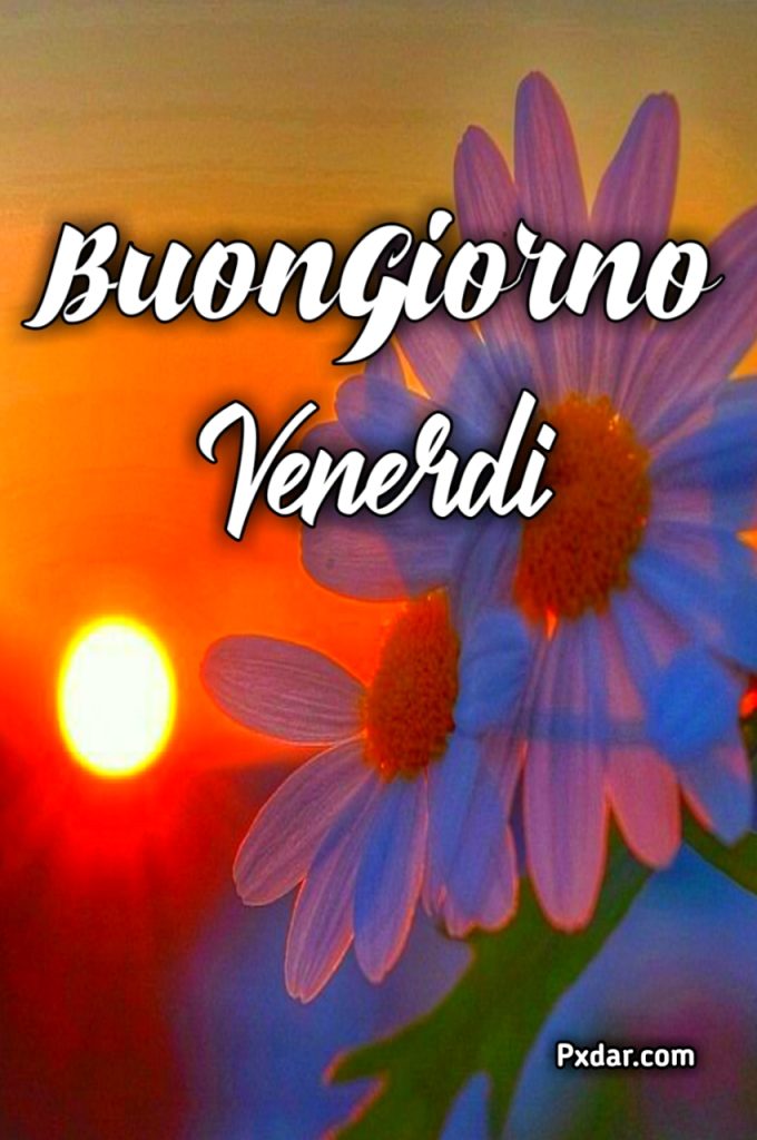 Buon Venerdì Simpaticissimo