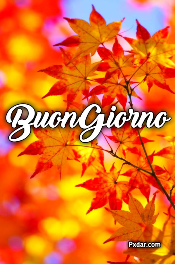 Buona Domenica Autunnale