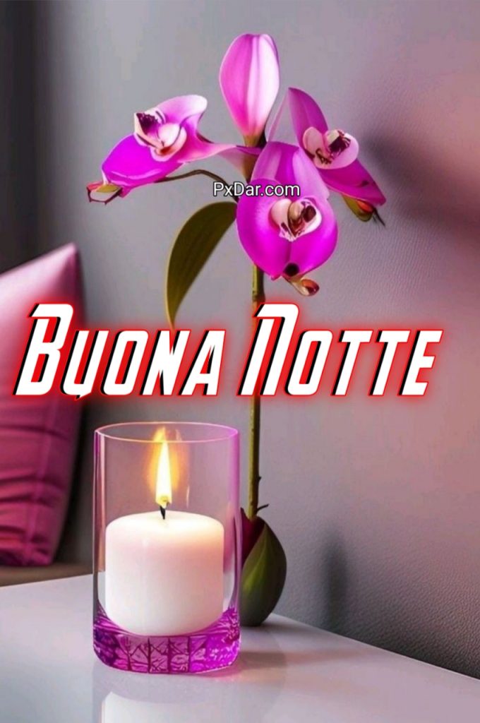 Buona E Serena Notte