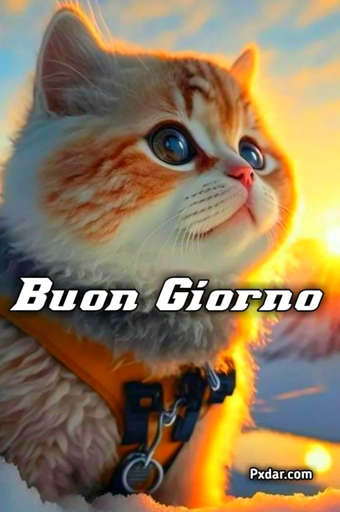 Buona Giornata Divertente