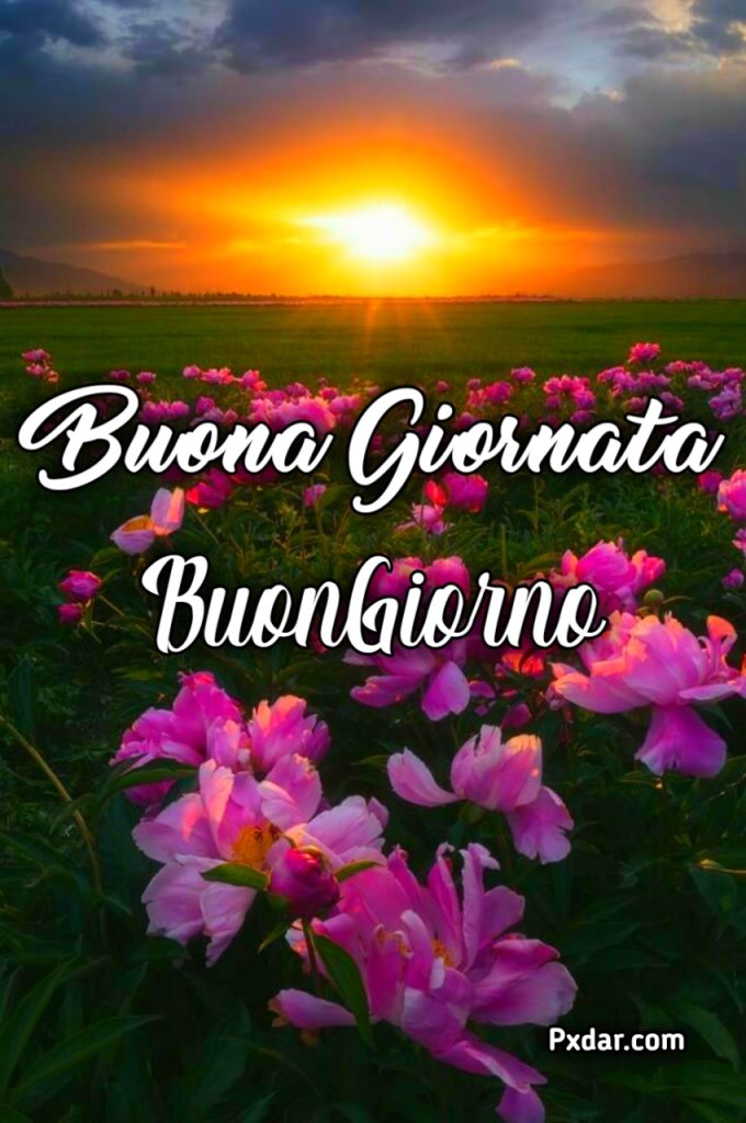 Buona Giornata Stickers Buongiorno Whatsapp Gratis