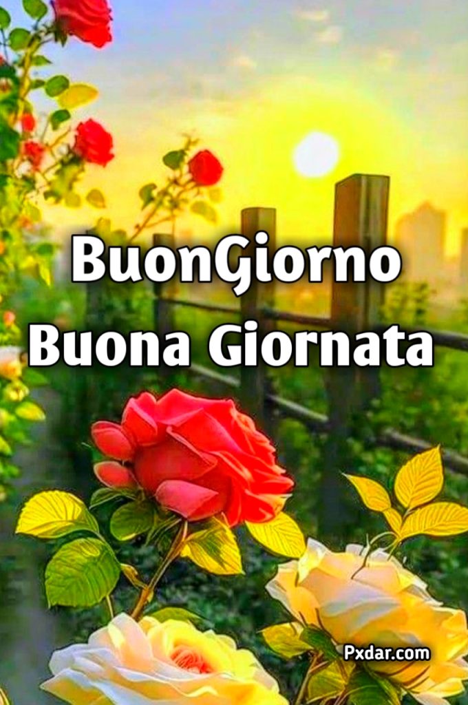 Buona Giornata Stickers Buongiorno Whatsapp Gratis