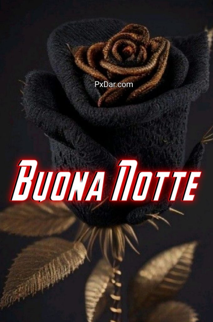 Buona Notte Buon Riposo Immagini Nuove