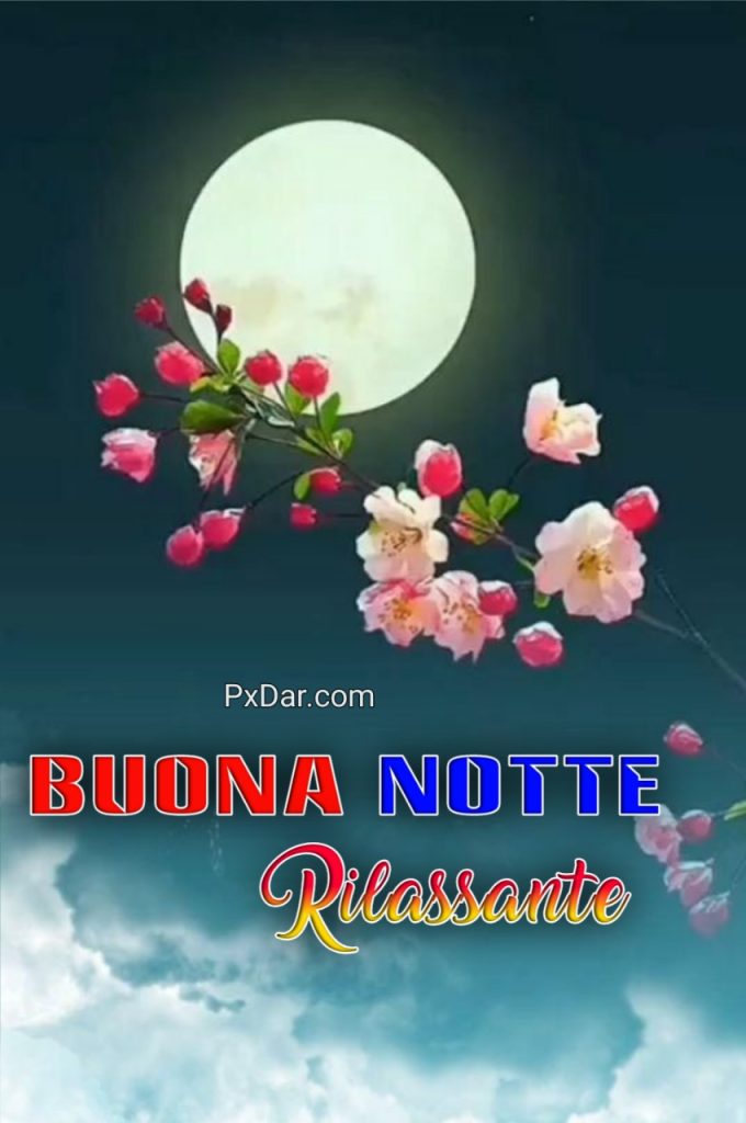 Buona Notte Con.immaggine Rilassante Gratis