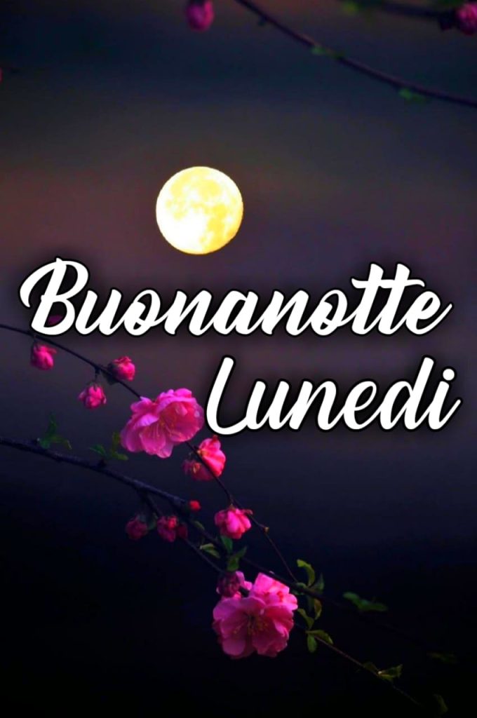 Buona Notte Domani è Lunedì