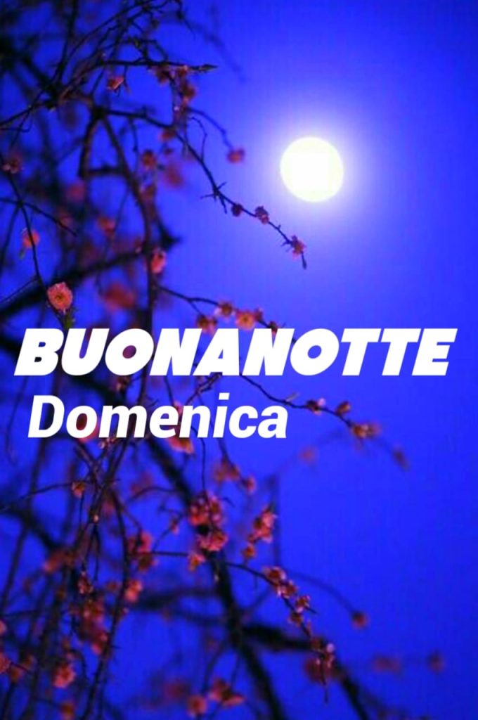 Buona Notte Domenica Finita